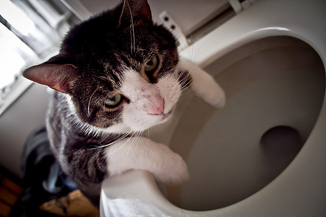 Morning after the Zoo's New Year's Party‏ 002