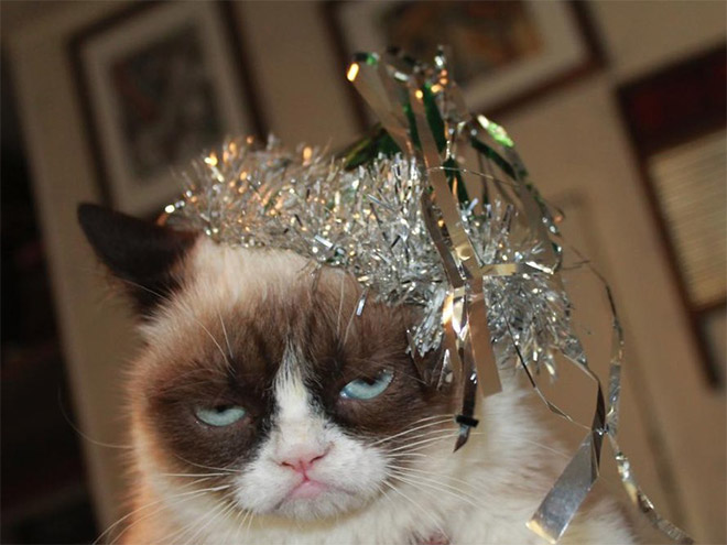 Morning after the Zoo's New Year's Party‏ 007