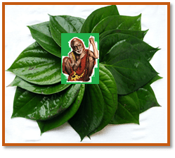Betel